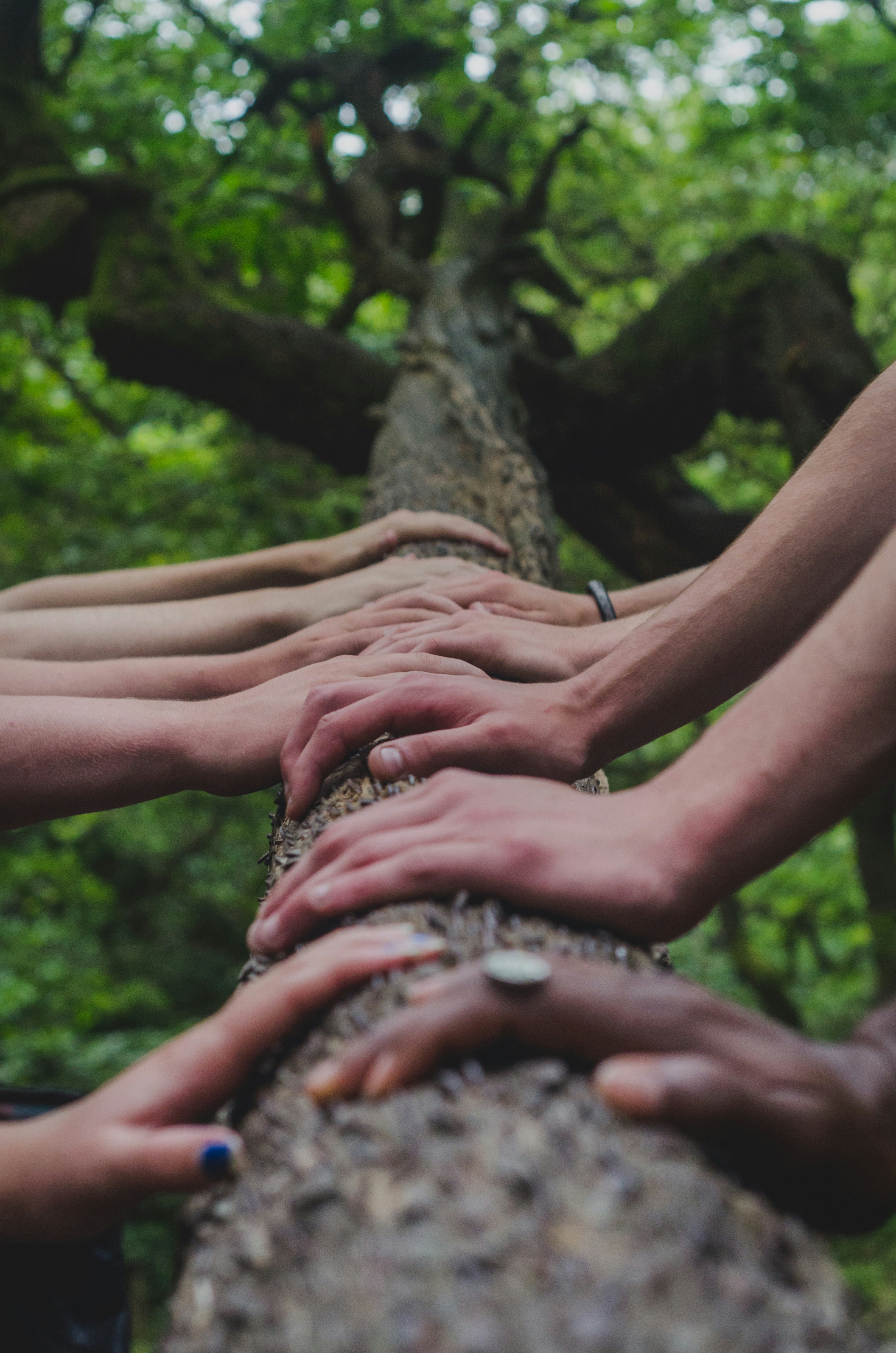 Sustainable communities